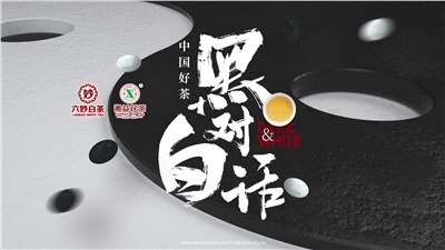 首屆黑白對話高峰論壇圓滿落幕！湘益茯茶備受關注！